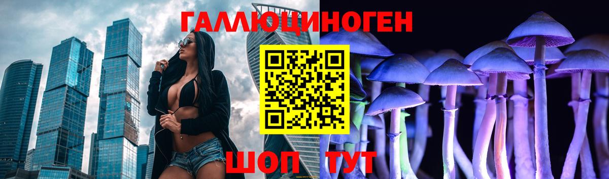 Галлюциногенные грибы GOLDEN TEACHER  Вход с VPN  как найти закладки  Псилоцибиновые грибы Psilocybe  Новосибирск 
